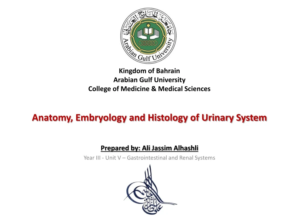 kingdom of bahrain arabian gulf university college of medicine medical sciences