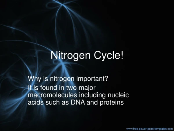 Nitrogen Cycle!