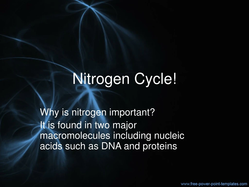 nitrogen cycle