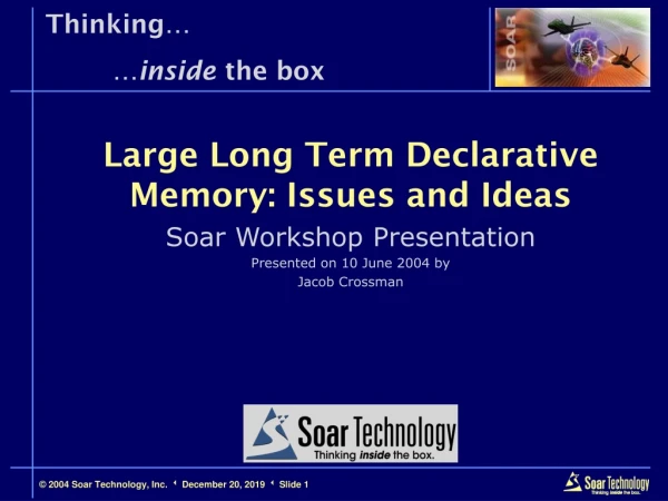 Large Long Term Declarative Memory: Issues and Ideas