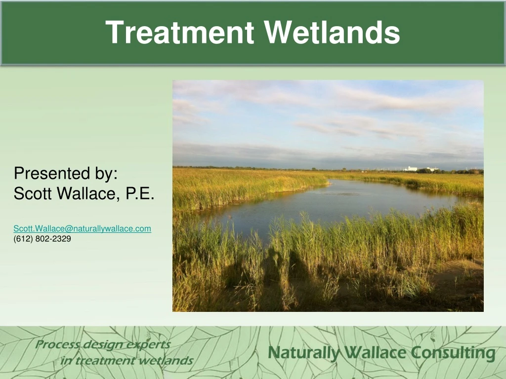 treatment wetlands