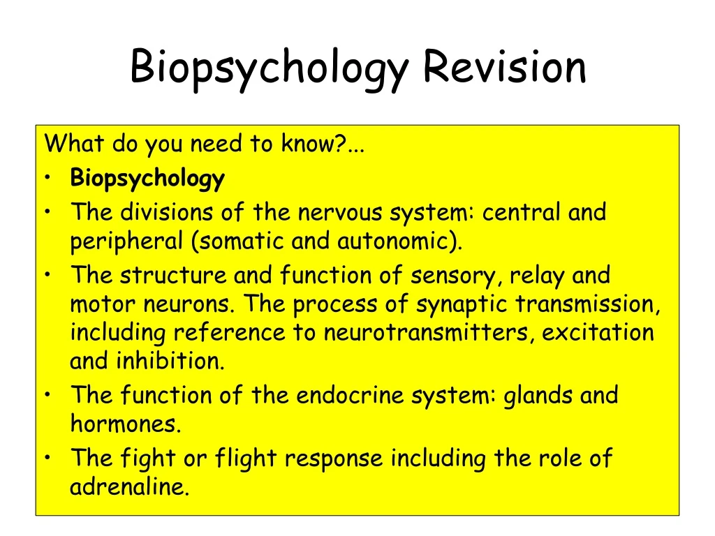 biopsychology revision