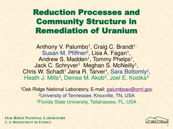 Reduction Processes and Community Structure in Remediation of Uranium