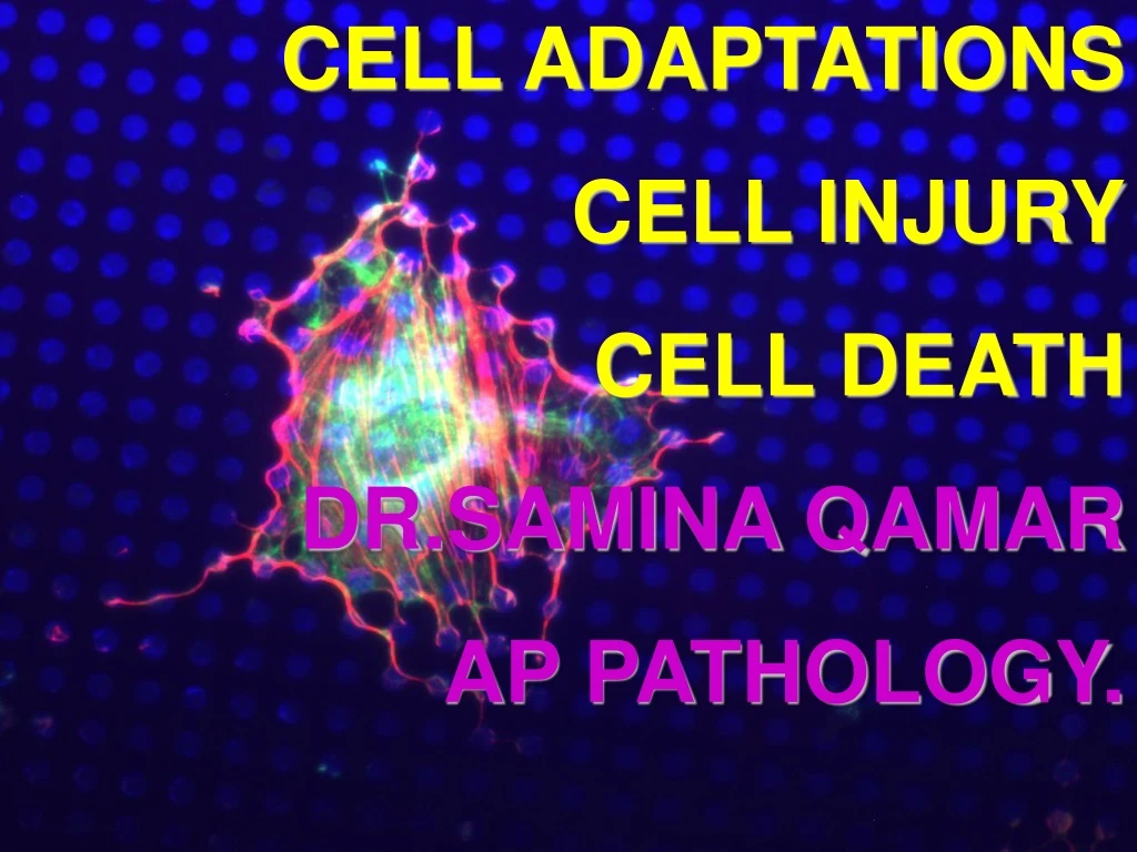 cell adaptations cell injury cell death dr samina
