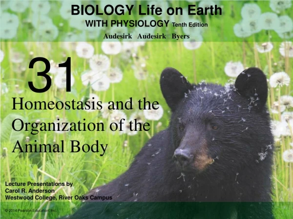 Homeostasis and the Organization of the Animal Body