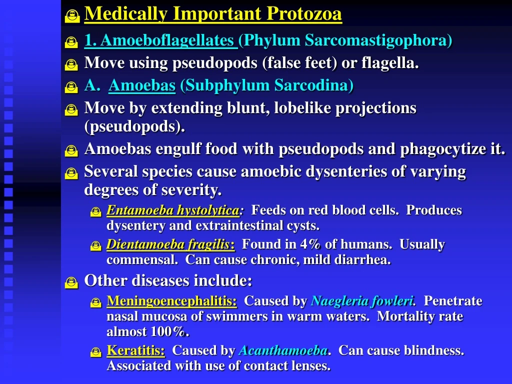 medically important protozoa 1 amoeboflagellates