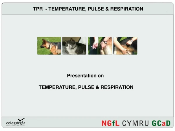 TPR  - TEMPERATURE, PULSE &amp; RESPIRATION