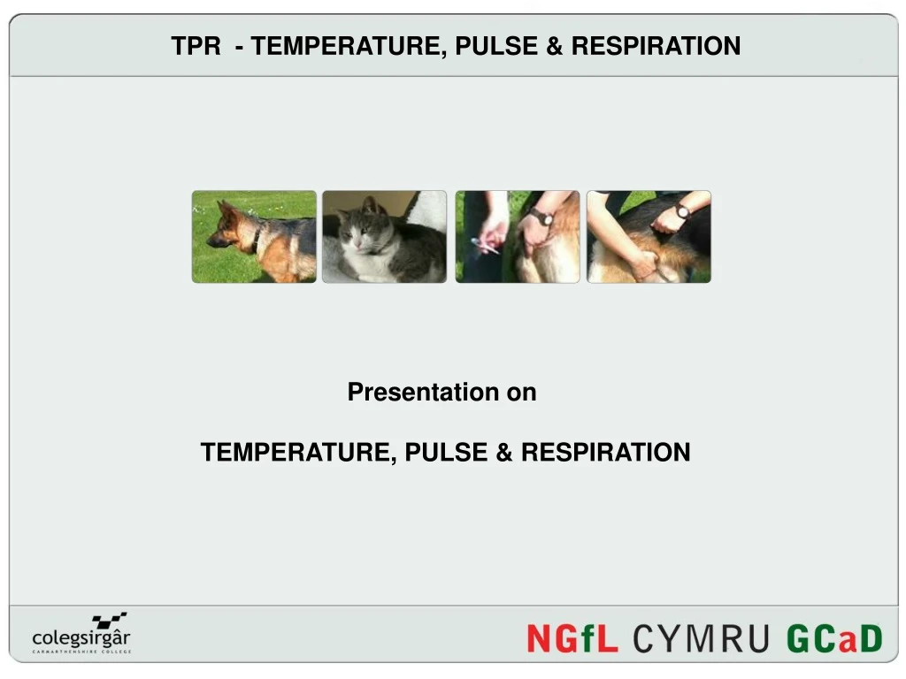 tpr temperature pulse respiration