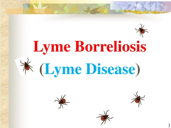 Lyme Borreliosis  ( Lyme Disease )