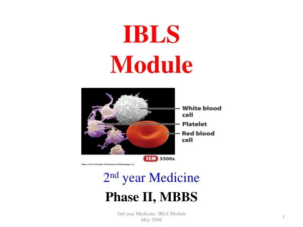 IBLS Module