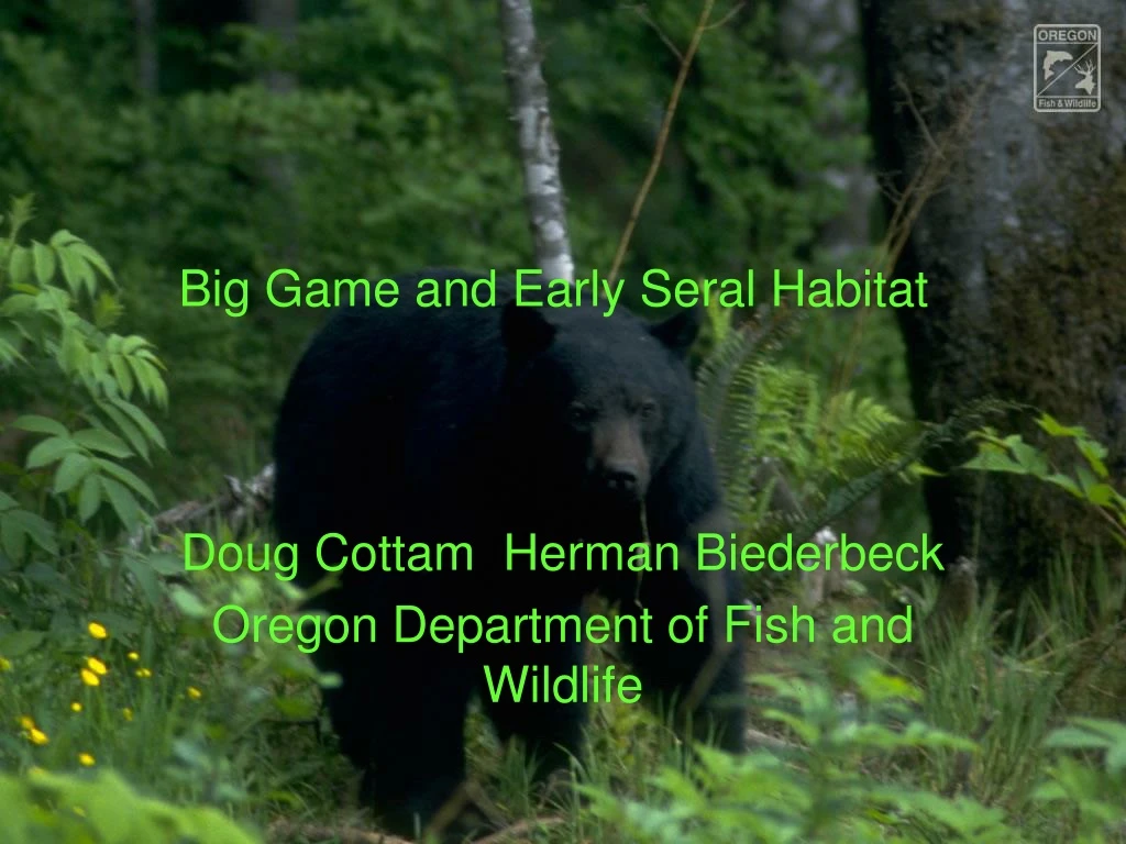 big game and early seral habitat