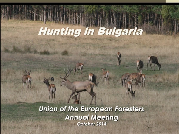 Hunting in Bulgaria