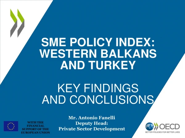 SME POLICY INDEX: WESTERN BALKANS AND TURKEY KEY FINDINGS  AND CONCLUSIONS