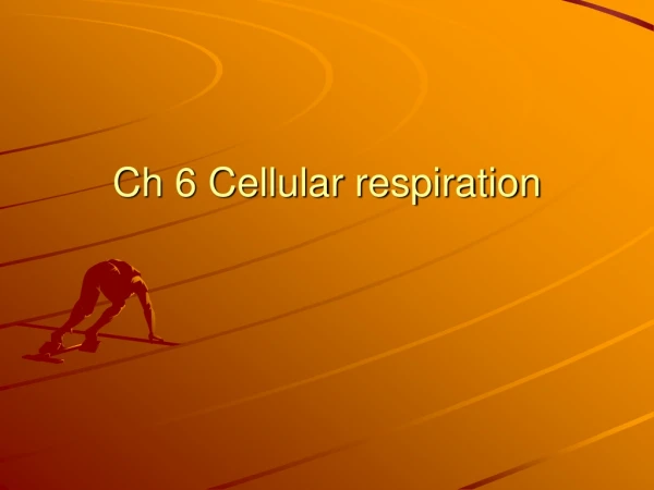 Ch 6 Cellular respiration