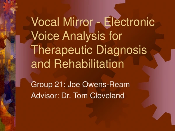 Vocal Mirror - Electronic Voice Analysis for Therapeutic Diagnosis and Rehabilitation