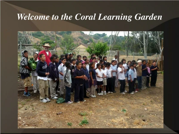 Welcome to the Coral Learning Garden