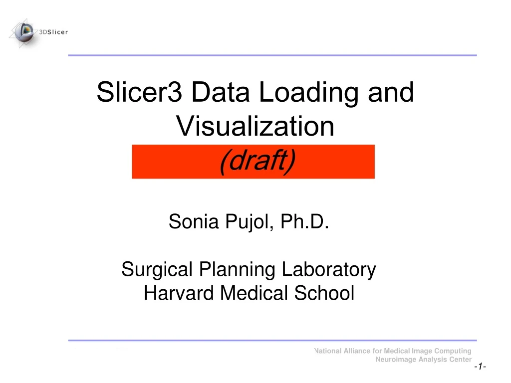 slicer3 data loading and visualization draft