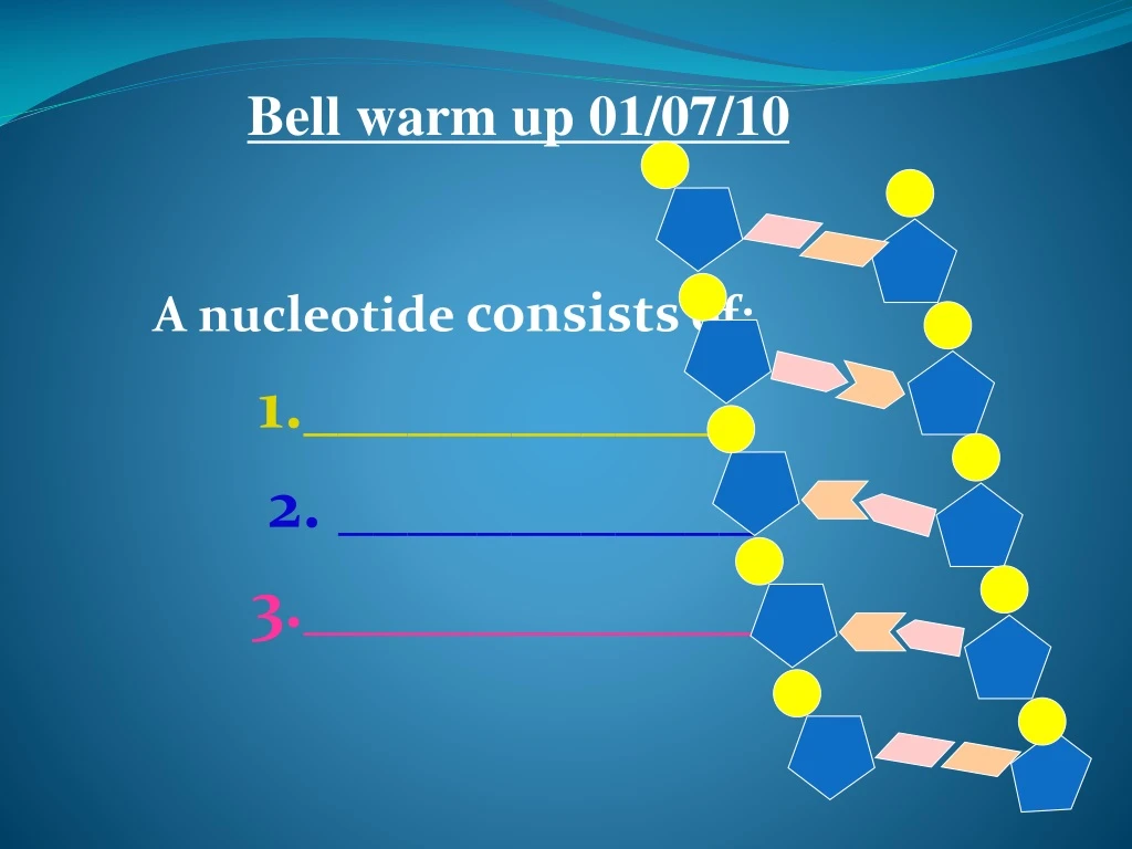 a nucleotide consists of 1 2 3
