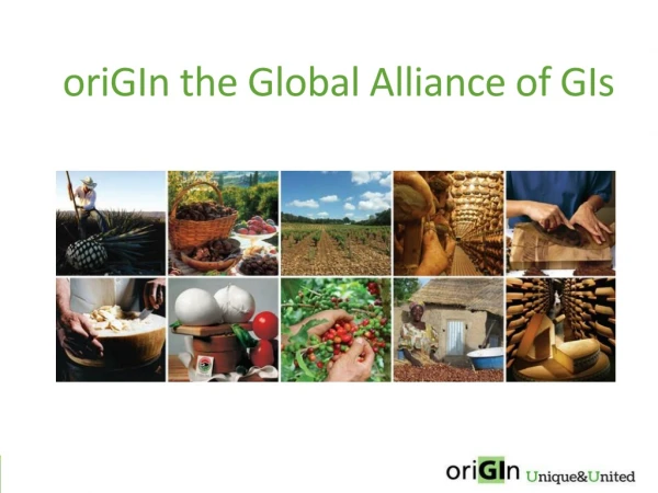oriGIn the Global Alliance of  GIs