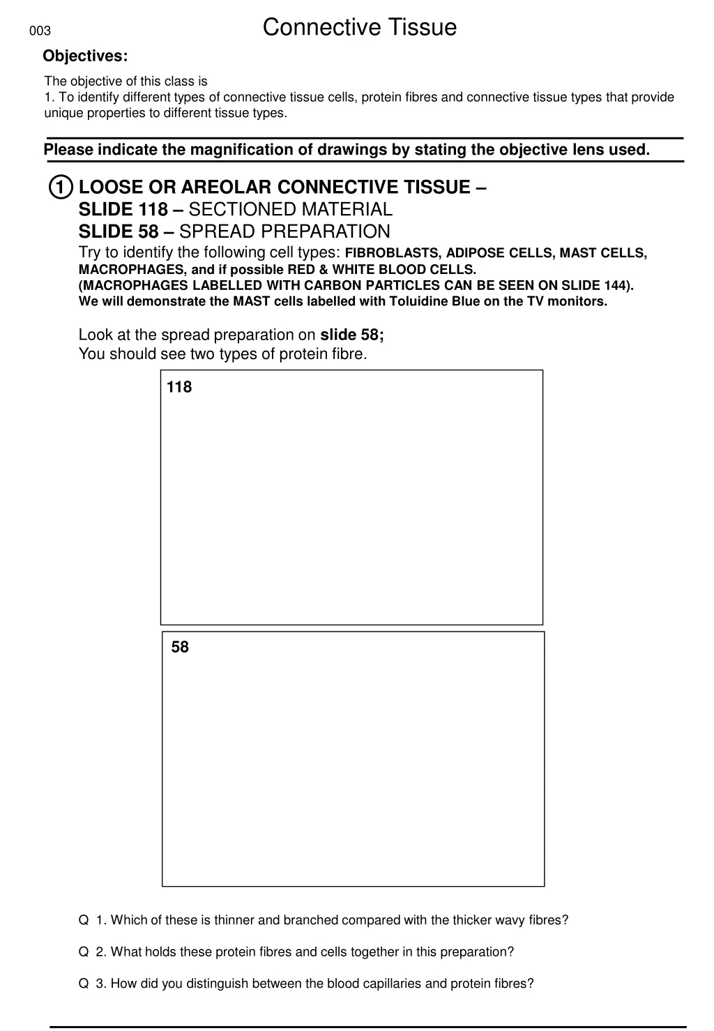 003 connective tissue