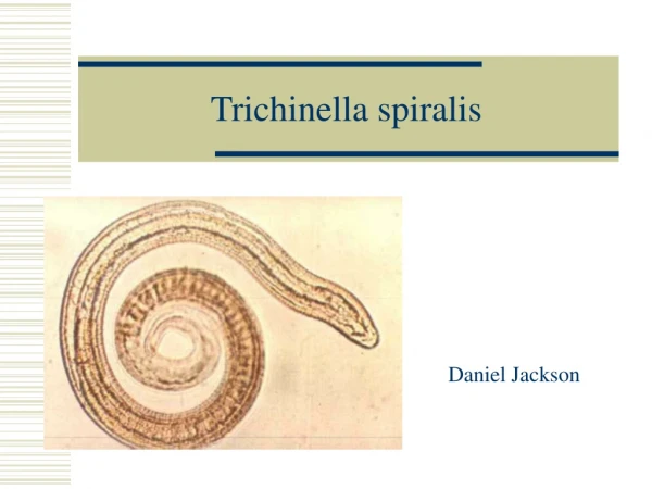 Trichinella spiralis