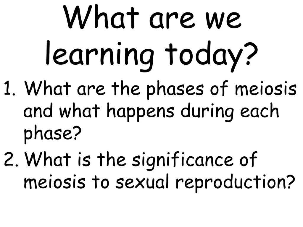 what are we learning today