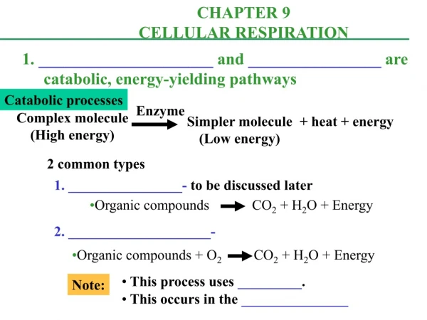 1.  _____________________  and  ________________  are catabolic, energy-yielding pathways
