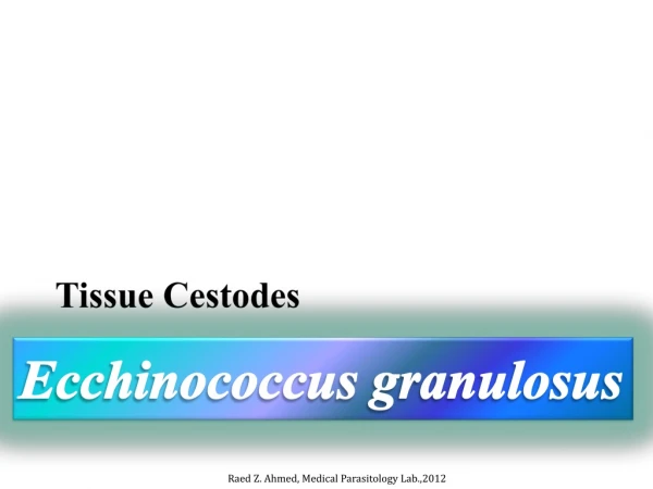Ecchinococcus  granulosus