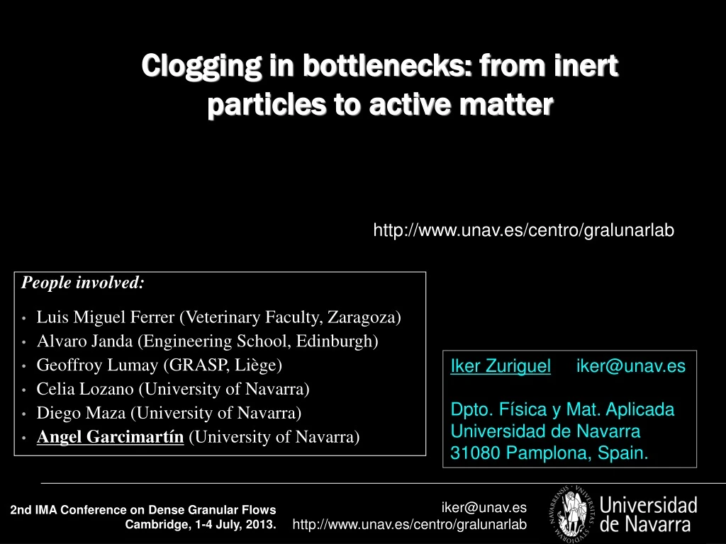 clogging in bottlenecks from inert particles