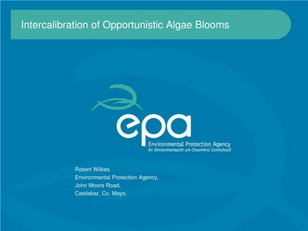 Intercalibration of Opportunistic Algae Blooms