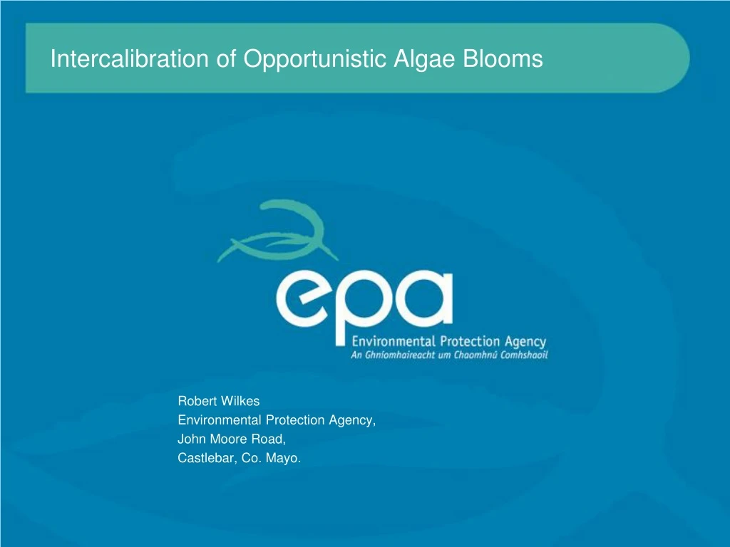 intercalibration of opportunistic algae blooms