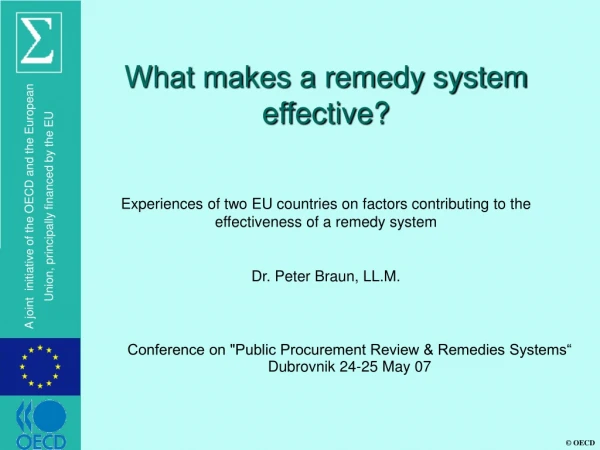 What makes a remedy system effective?