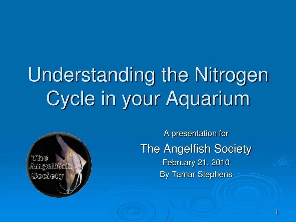 understanding the nitrogen cycle in your aquarium