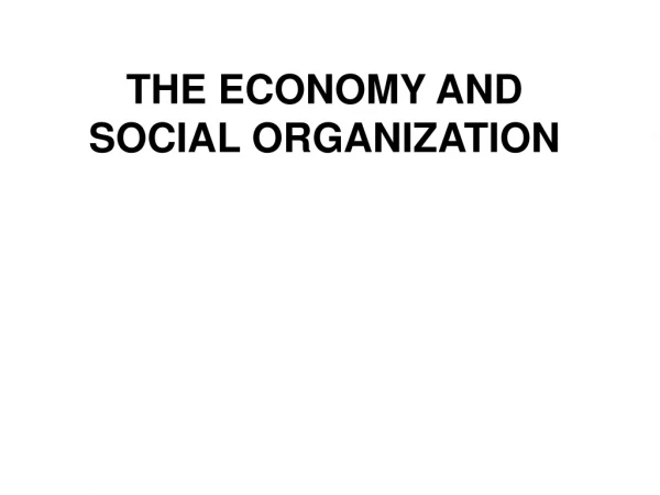 THE ECONOMY AND SOCIAL ORGANIZATION