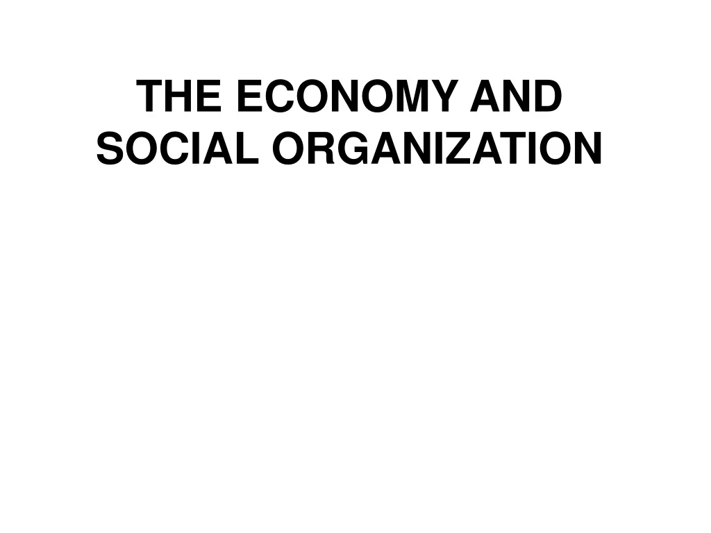 the economy and social organization