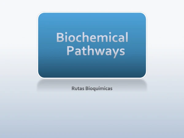 Biochemical Pathways