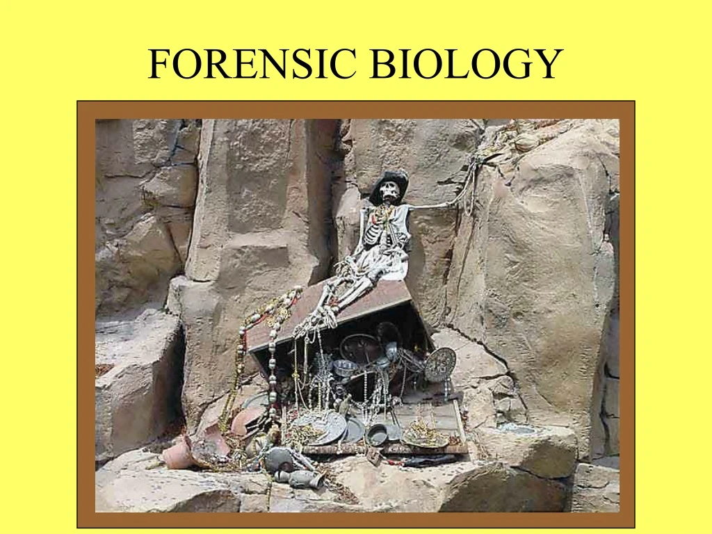 forensic biology