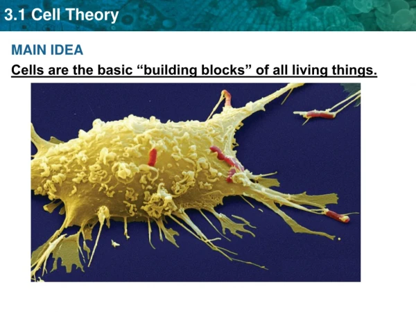 MAIN IDEA Cells are the basic “building blocks” of all living things.