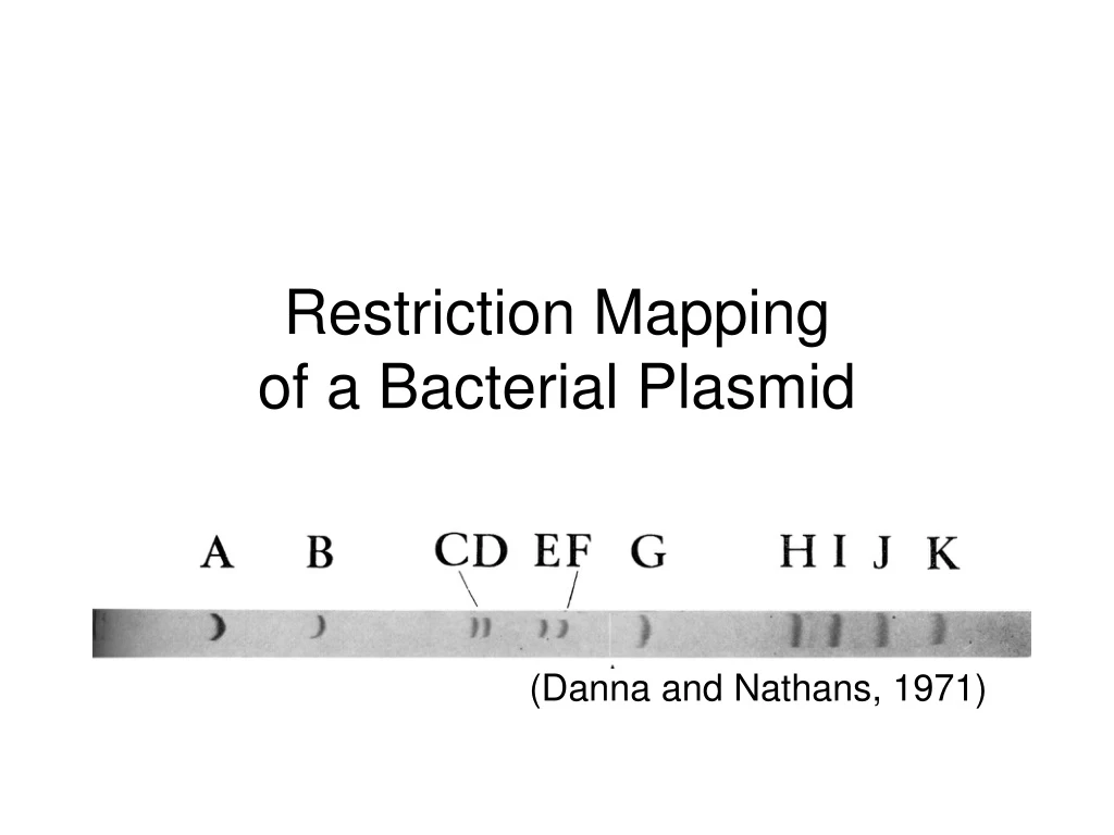 restriction mapping of a bacterial plasmid