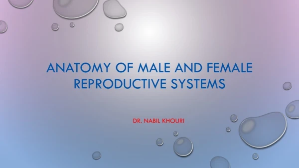 Anatomy of male and Female Reproductive Systems