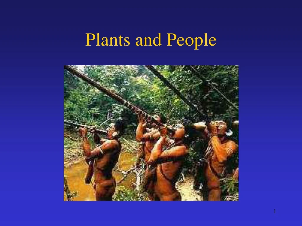 plants and people