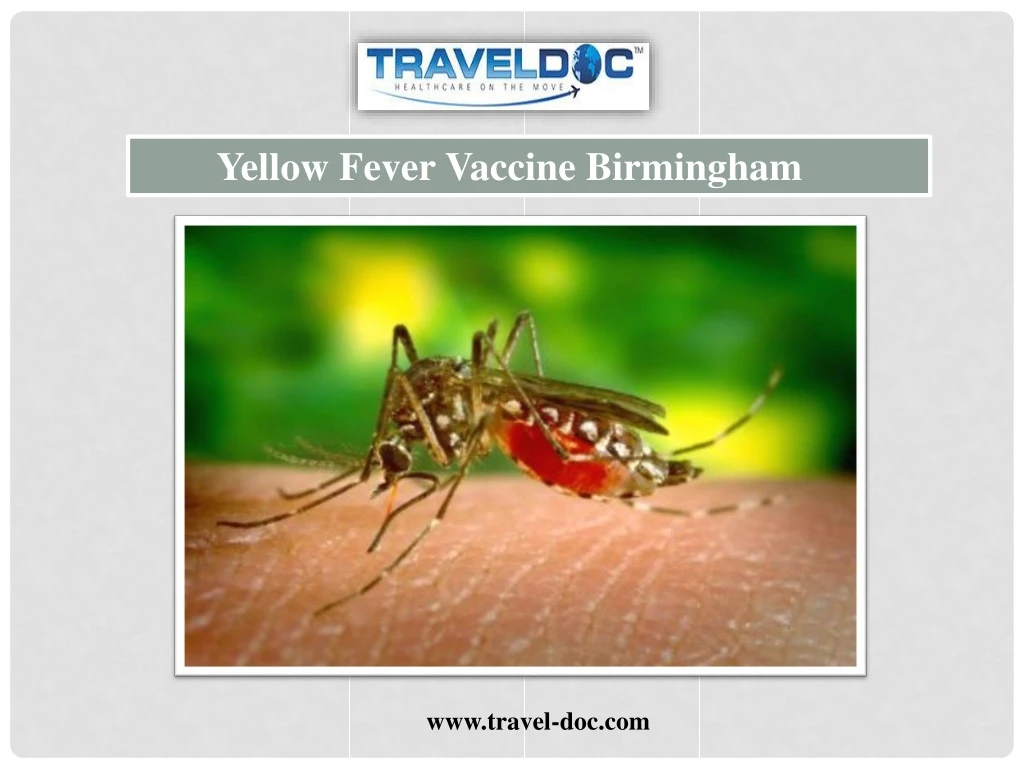 yellow fever vaccine birmingham