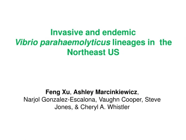 Invasive and endemic Vibrio parahaemolyticus lineages in  the Northeast US
