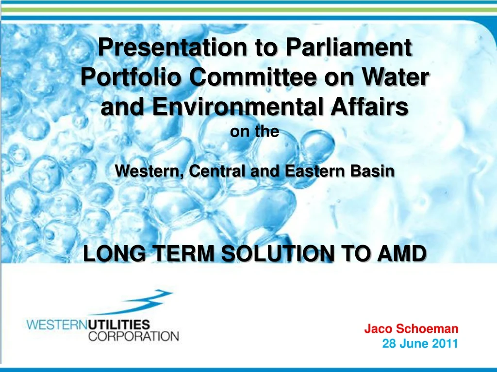 presentation to parliament on the western central and eastern basin long term solution to amd