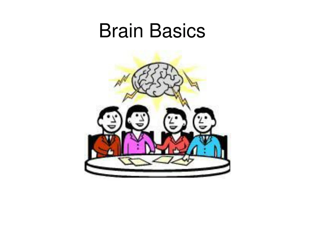 brain basics