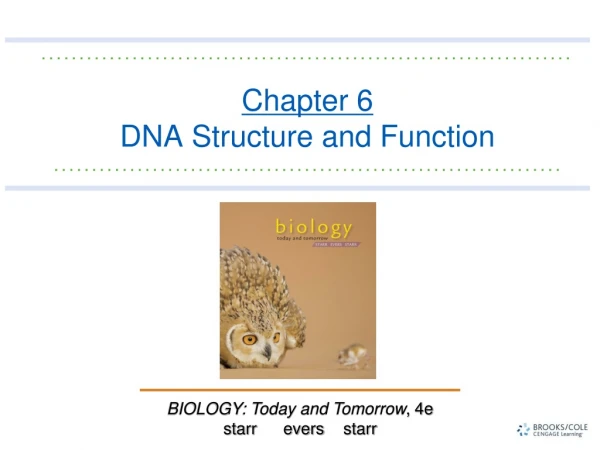 Chapter 6   DNA Structure and Function