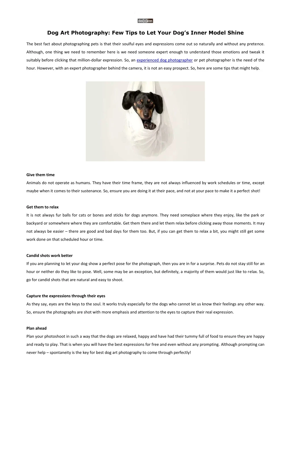 dog art photography few tips to let your