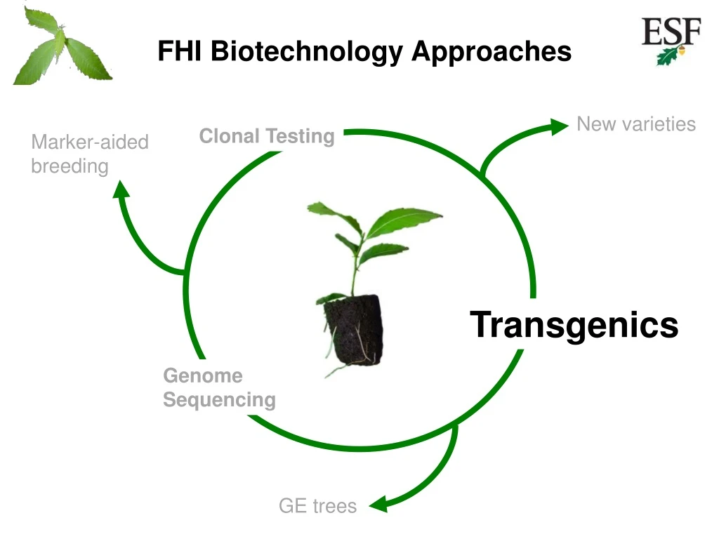 fhi biotechnology approaches