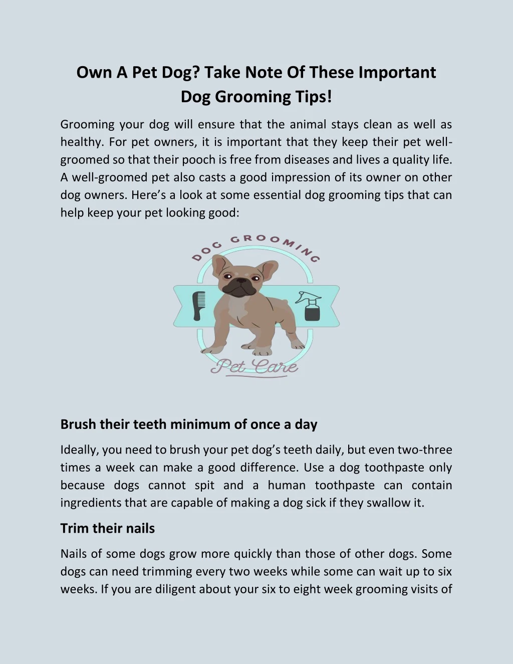 own a pet dog take note of these important