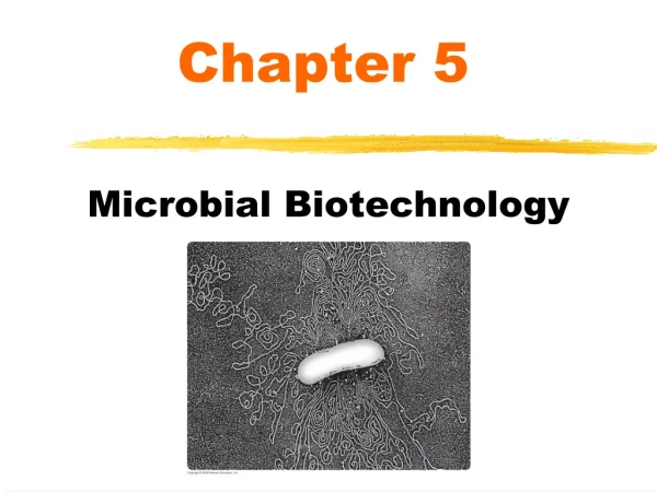 Microbial Biotechnology